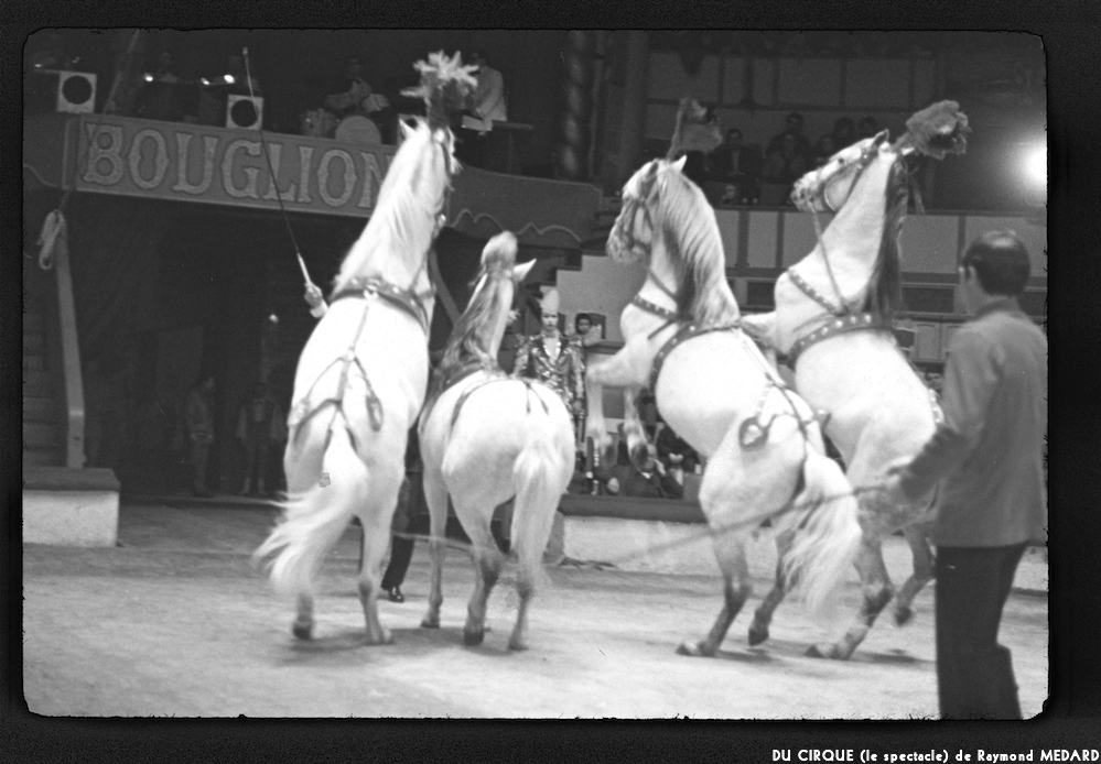 image: This is &lsquo;LE CIRQUE (le spectacle) 4&rsquo;.