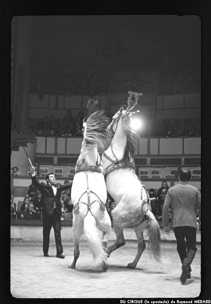 image: This is &lsquo;LE CIRQUE (le spectacle) 5&rsquo;.