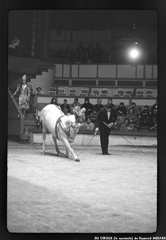 image: This is &lsquo;LE CIRQUE (le spectacle) 6&rsquo;.