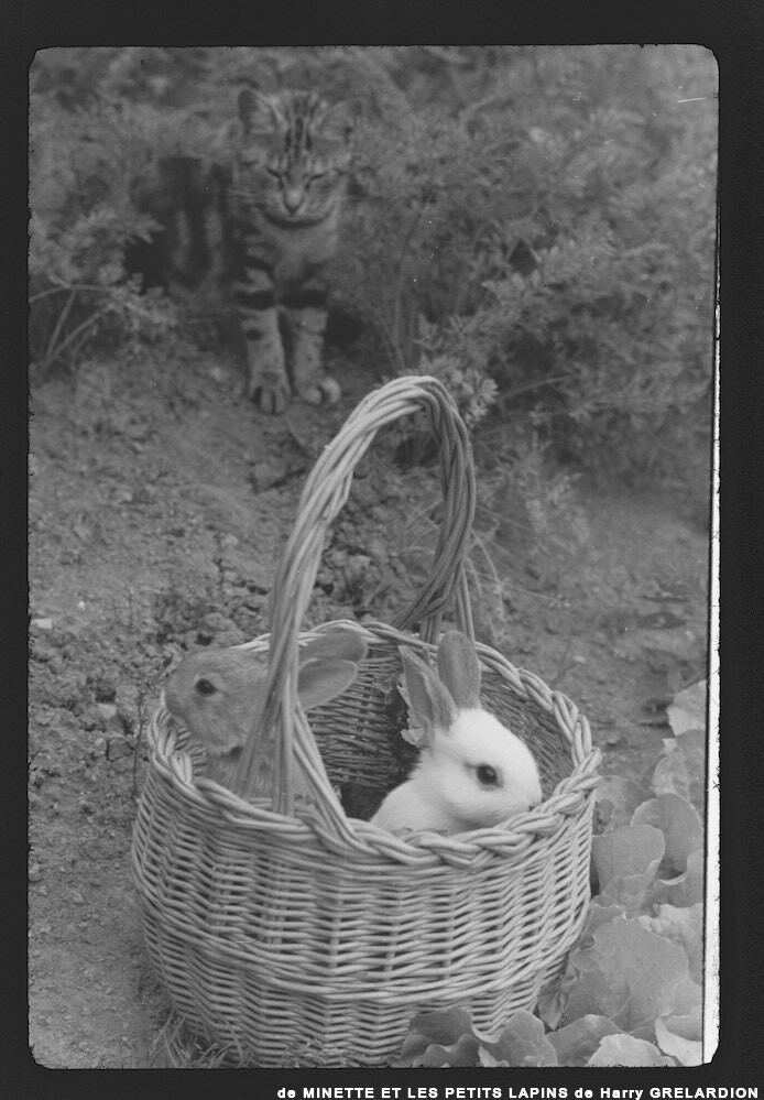 image: This is &lsquo;MINETTE ET LES PETITS PALINS 3&rsquo;.