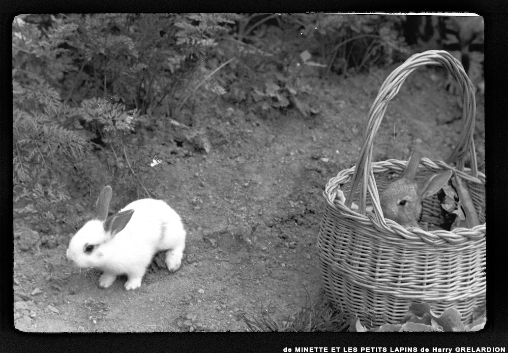 image: This is &lsquo;MINETTE ET LES PETITS PALINS 4&rsquo;.