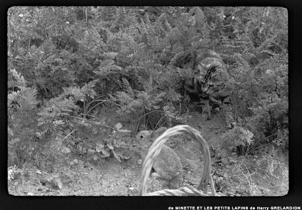 image: This is &lsquo;MINETTE ET LES PETITS PALINS 8&rsquo;.