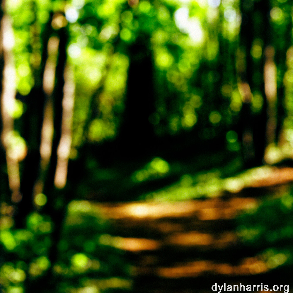 image: This is &lsquo;wood (xlvii) 1&rsquo;.