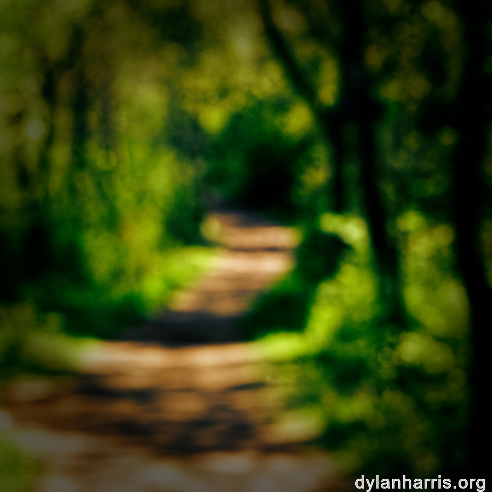 image: This is &lsquo;wood (xlvii) 6&rsquo;.