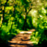 image: Image from the photoset &lsquo;wood (xlvii)&rsquo;.