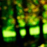 image: wood (xlvii) photoset