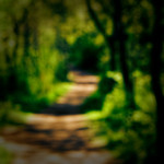 image: Image from the photoset &lsquo;wood (xlvii)&rsquo;.