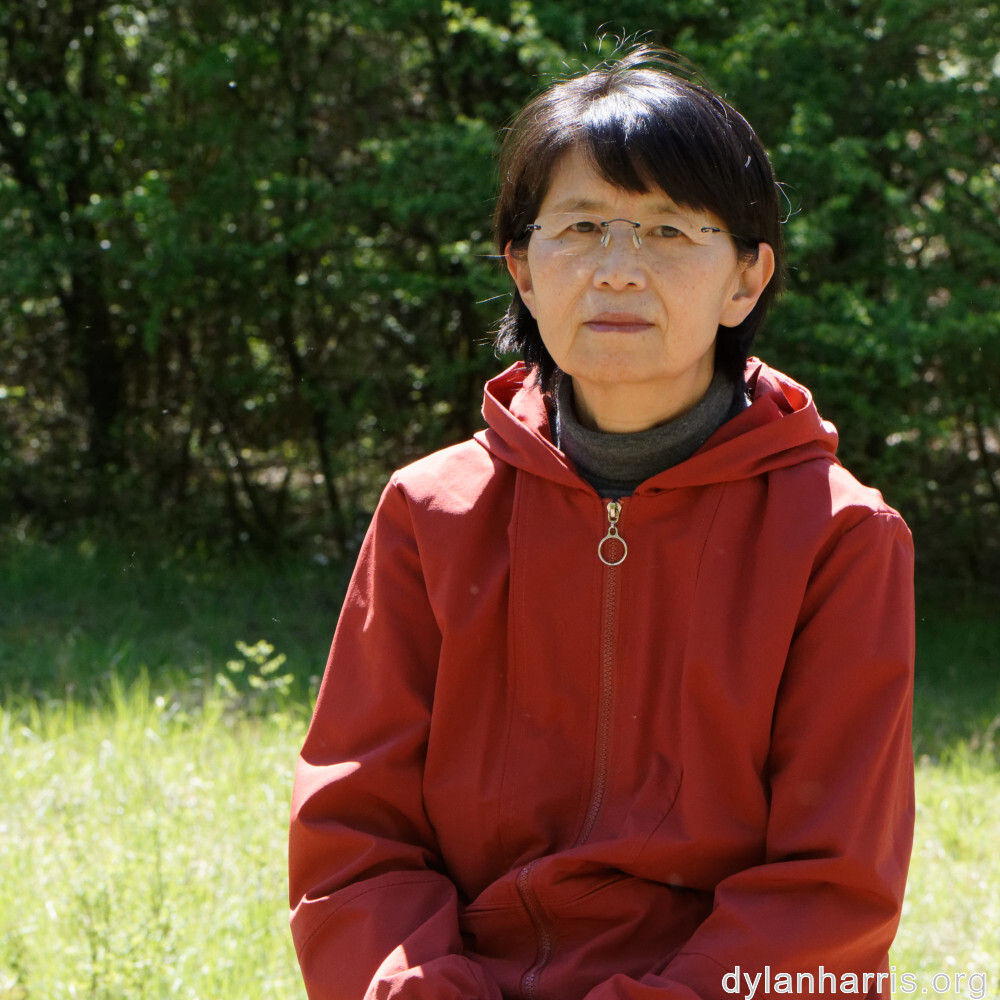 image: This is &lsquo;L (xxvii) 2&rsquo;.