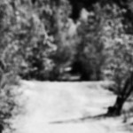 image: Image from the photoset &lsquo;sch&euml;fflenger bierg (i)&rsquo;.