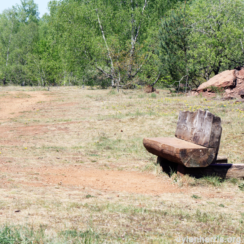 image: This is &lsquo;sch&euml;fflenger bierg (ii) 1&rsquo;.