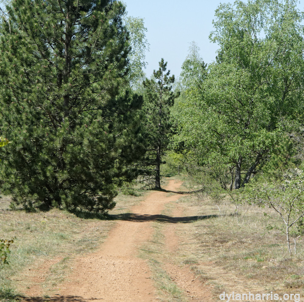 image: This is &lsquo;sch&euml;fflenger bierg (ii) 3&rsquo;.