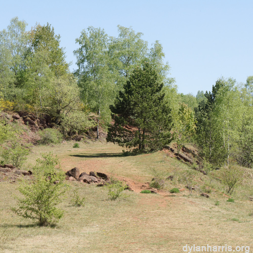 image: This is &lsquo;sch&euml;fflenger bierg (ii) 6&rsquo;.