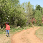 image: Image from the photoset &lsquo;sch&euml;fflenger bierg (ii)&rsquo;.