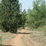 image: Image from the photoset &lsquo;sch&euml;fflenger bierg (ii)&rsquo;.