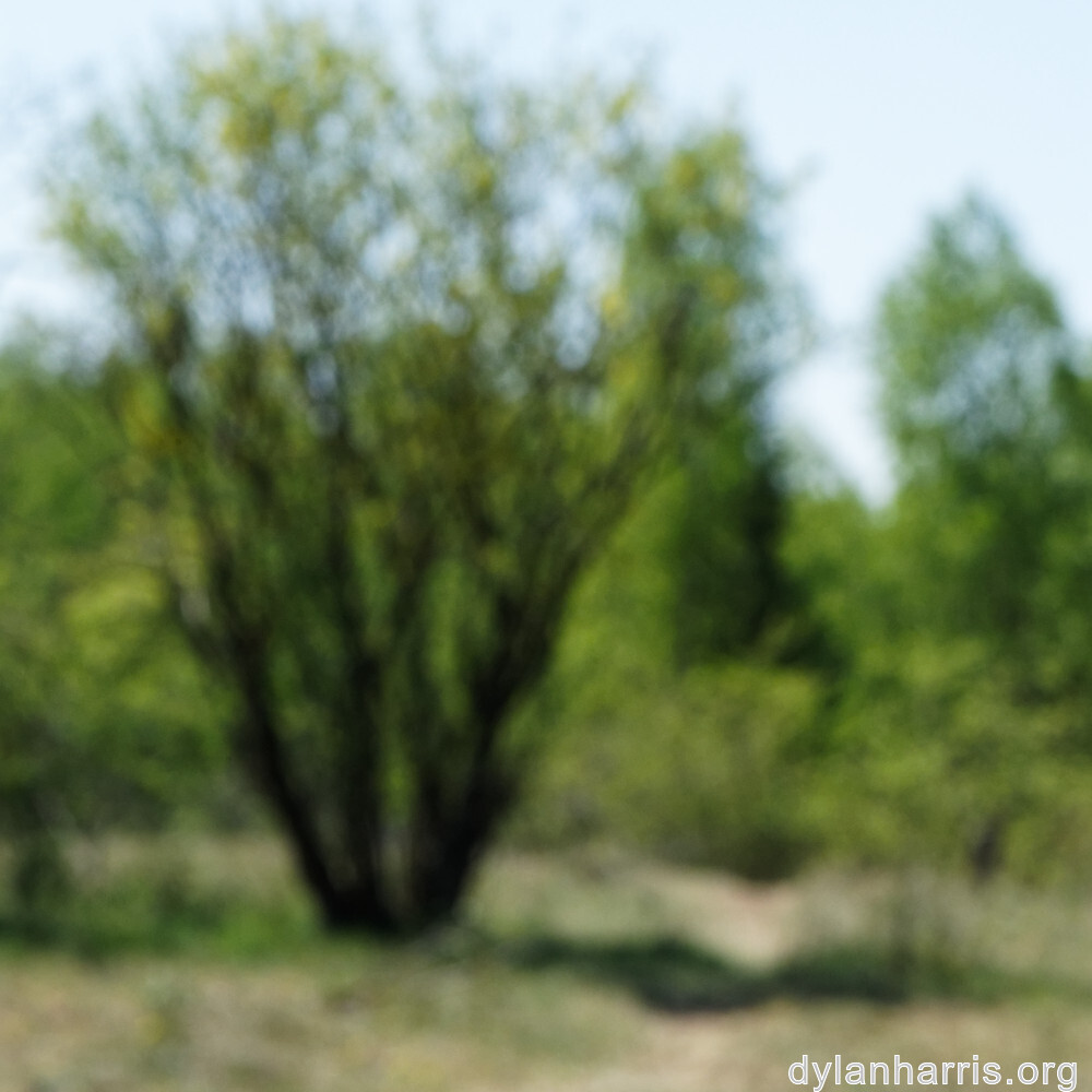 image: This is &lsquo;sch&euml;fflenger bierg (iii) 3&rsquo;.