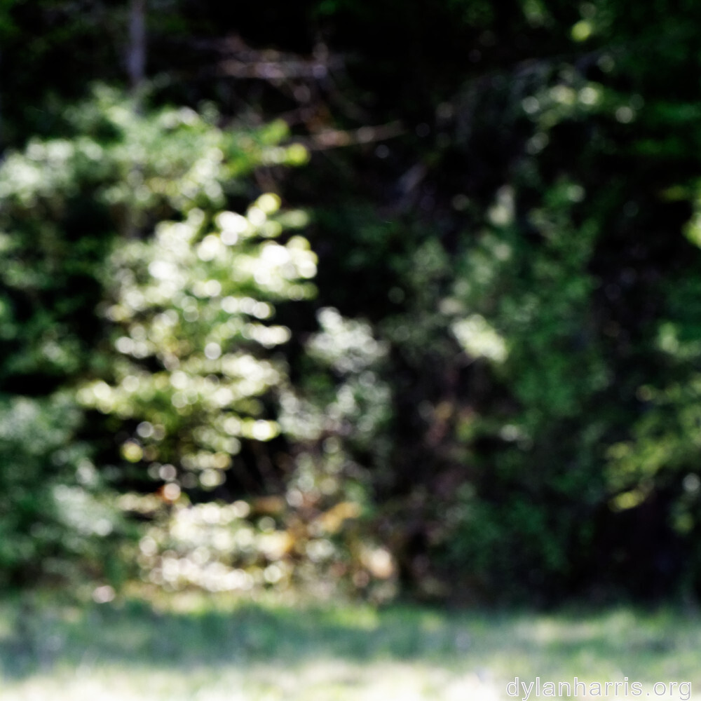 image: This is &lsquo;sch&euml;fflenger bierg (iii) 4&rsquo;.