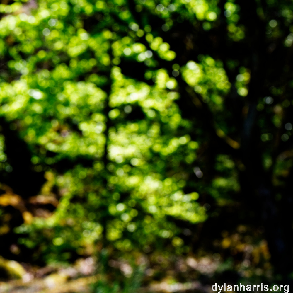 image: This is &lsquo;sch&euml;fflenger bierg (iii) 5&rsquo;.