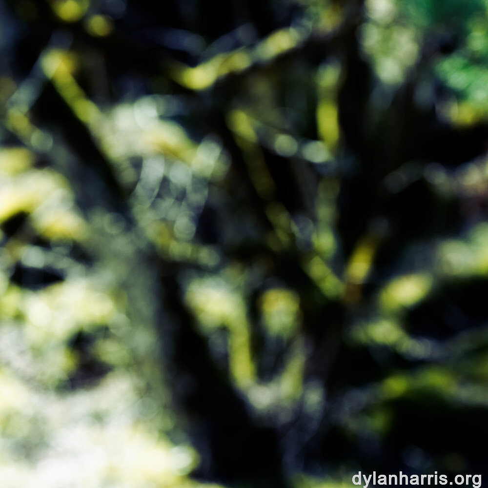 image: This is &lsquo;sch&euml;fflenger bierg (iii) 7&rsquo;.