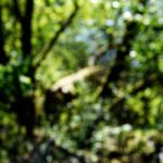 image: Image from the photoset &lsquo;sch&euml;fflenger bierg (iii)&rsquo;.