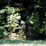 image: Image from the photoset &lsquo;sch&euml;fflenger bierg (iii)&rsquo;.