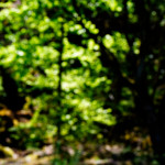 image: Image from the photoset &lsquo;sch&euml;fflenger bierg (iii)&rsquo;.