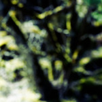 image: Image from the photoset &lsquo;sch&euml;fflenger bierg (iii)&rsquo;.