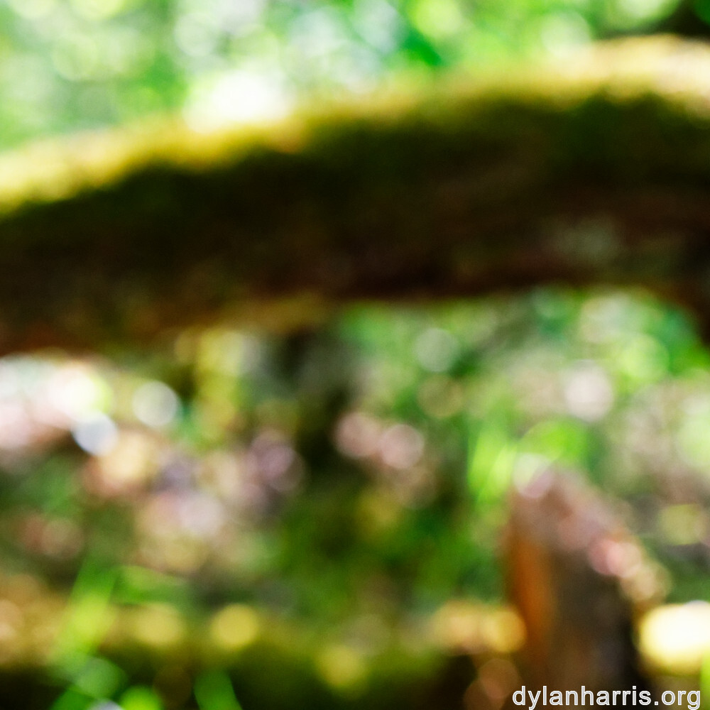 image: This is &lsquo;sch&euml;fflenger bierg (iv) 1&rsquo;.