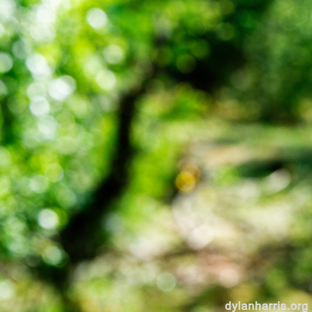 image: This is &lsquo;sch&euml;fflenger bierg (iv) 2&rsquo;.