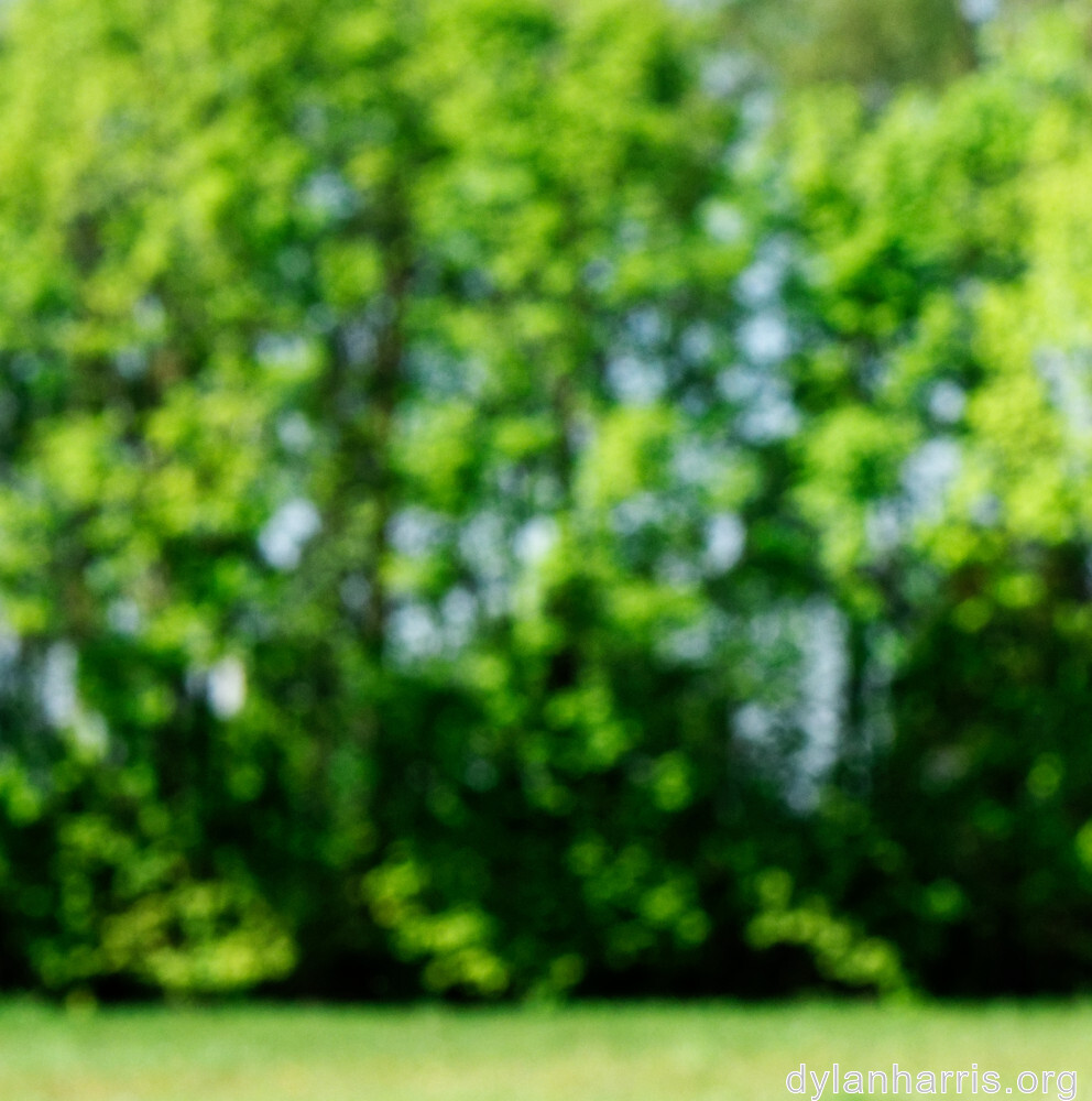 image: This is &lsquo;sch&euml;fflenger bierg (iv) 3&rsquo;.