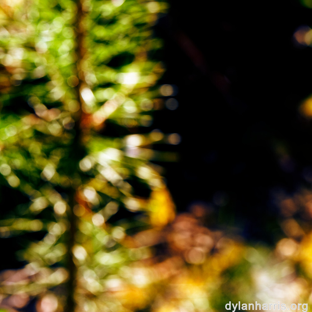 image: This is &lsquo;sch&euml;fflenger bierg (iv) 5&rsquo;.