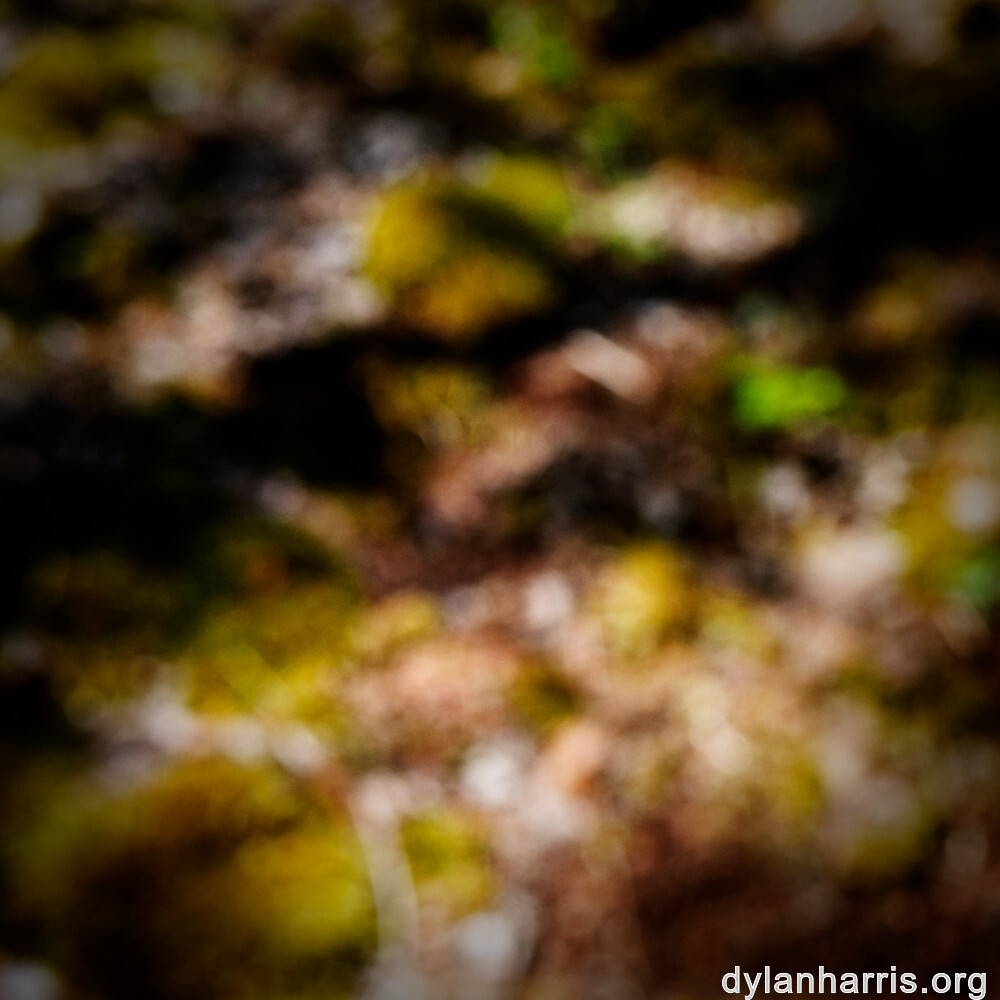 image: This is &lsquo;sch&euml;fflenger bierg (iv) 7&rsquo;.