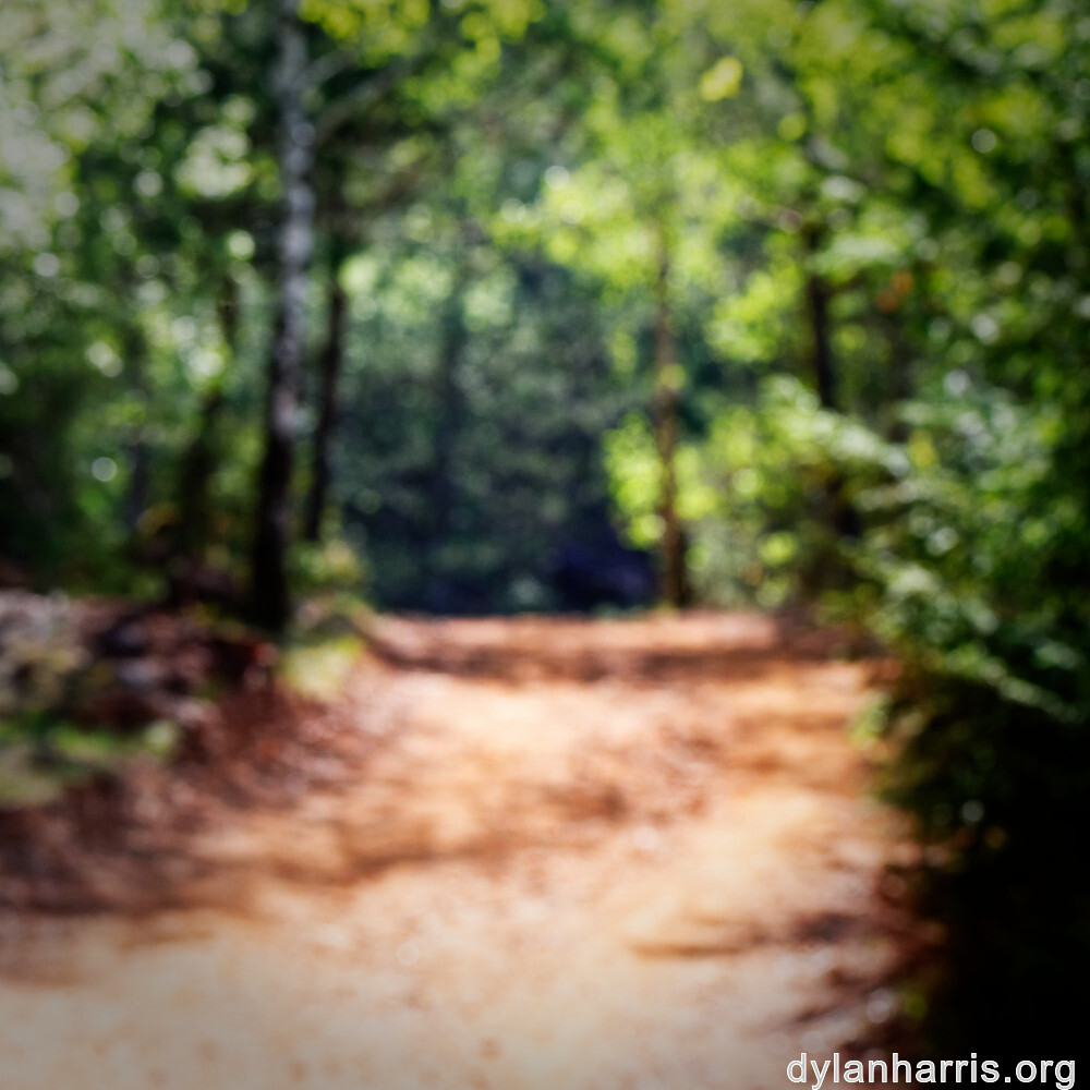 image: This is &lsquo;sch&euml;fflenger bierg (iv) 8&rsquo;.