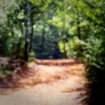 image: Image from the photoset &lsquo;sch&euml;fflenger bierg (iv)&rsquo;.