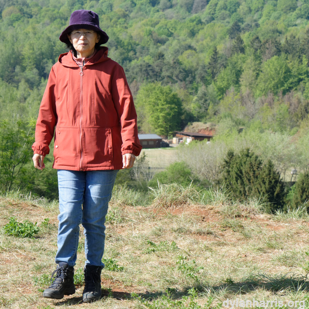 image: This is &lsquo;L (xxviii) 5&rsquo;.