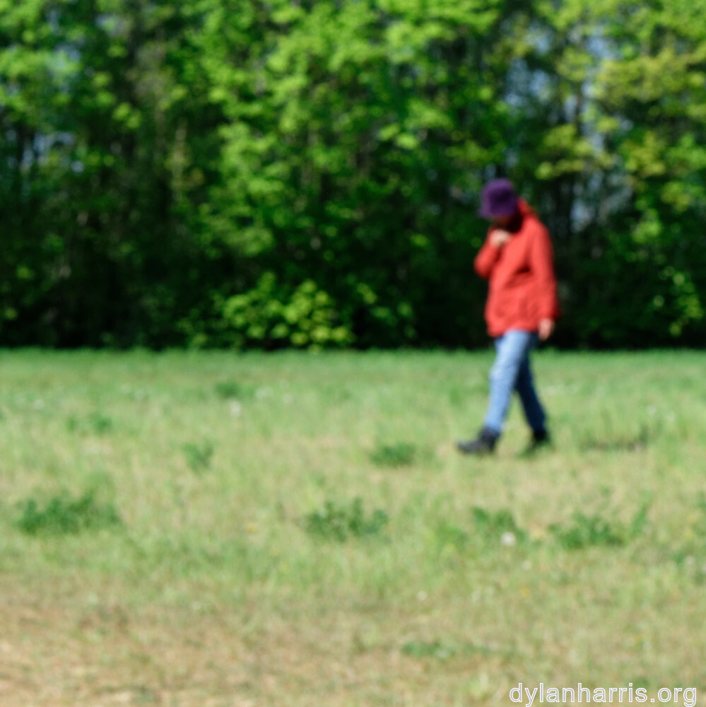 image: This is &lsquo;L (xxviii) 8&rsquo;.