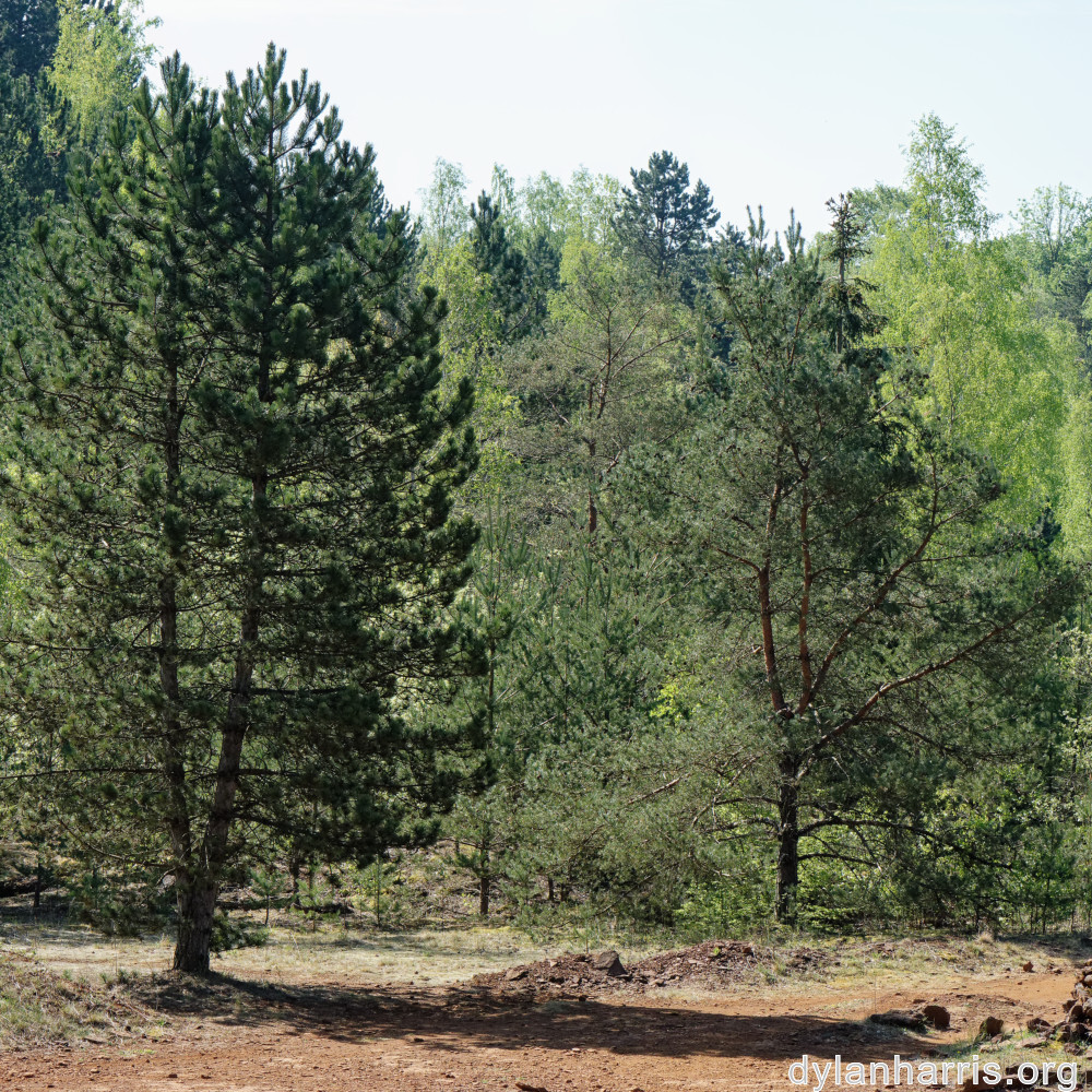 image: This is &lsquo;sch&euml;fflenger bierg (v) 3&rsquo;.