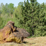 image: Image from the photoset &lsquo;sch&euml;fflenger bierg (v)&rsquo;.