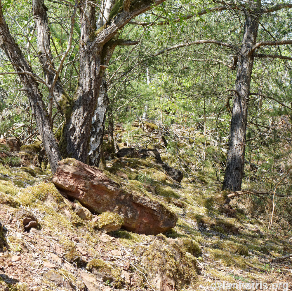 image: This is &lsquo;sch&euml;fflenger bierg (vi) 3&rsquo;.