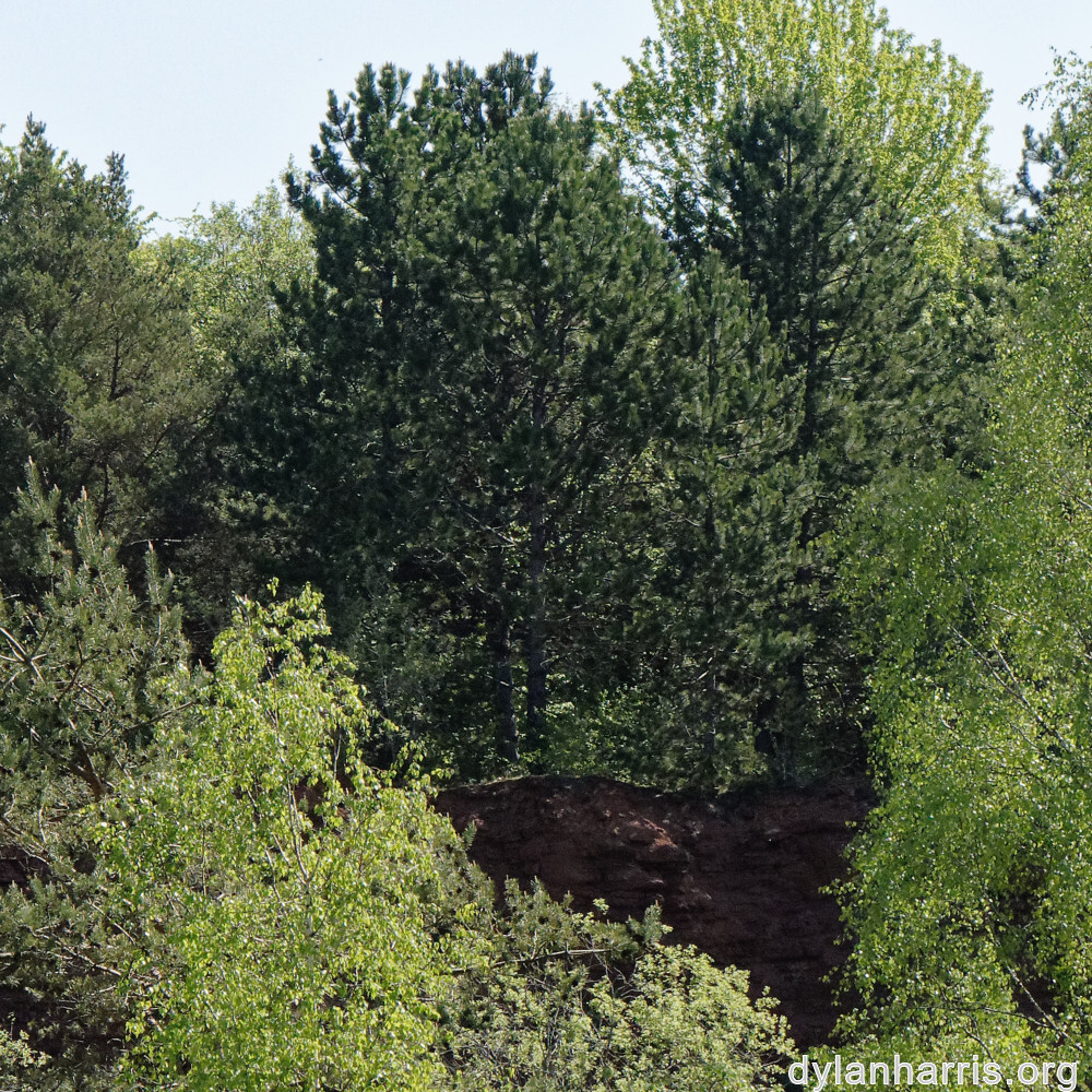 image: This is &lsquo;sch&euml;fflenger bierg (vi) 5&rsquo;.