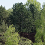 image: Image from the photoset &lsquo;sch&euml;fflenger bierg (vi)&rsquo;.