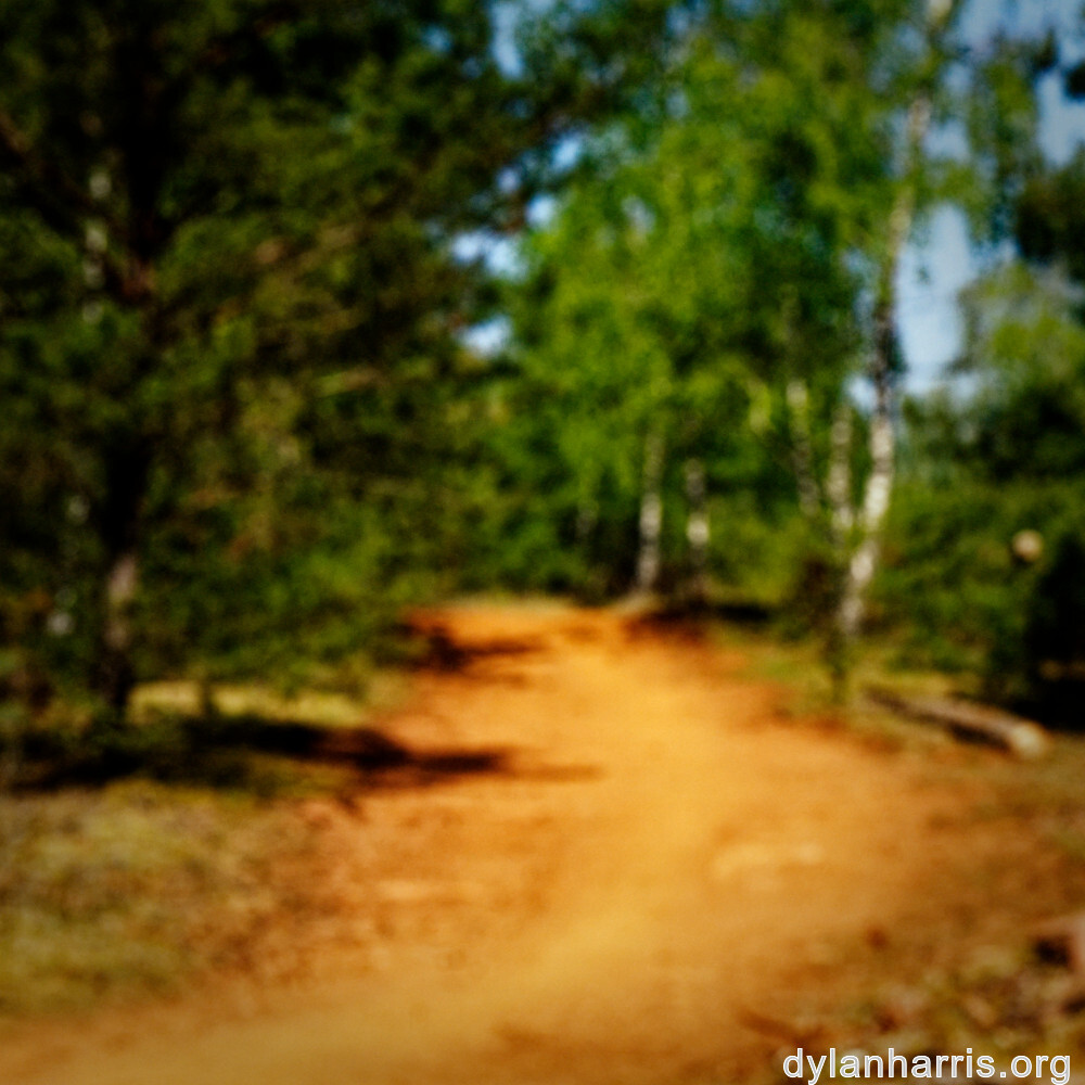 image: This is &lsquo;sch&euml;fflenger bierg (vii) 4&rsquo;.