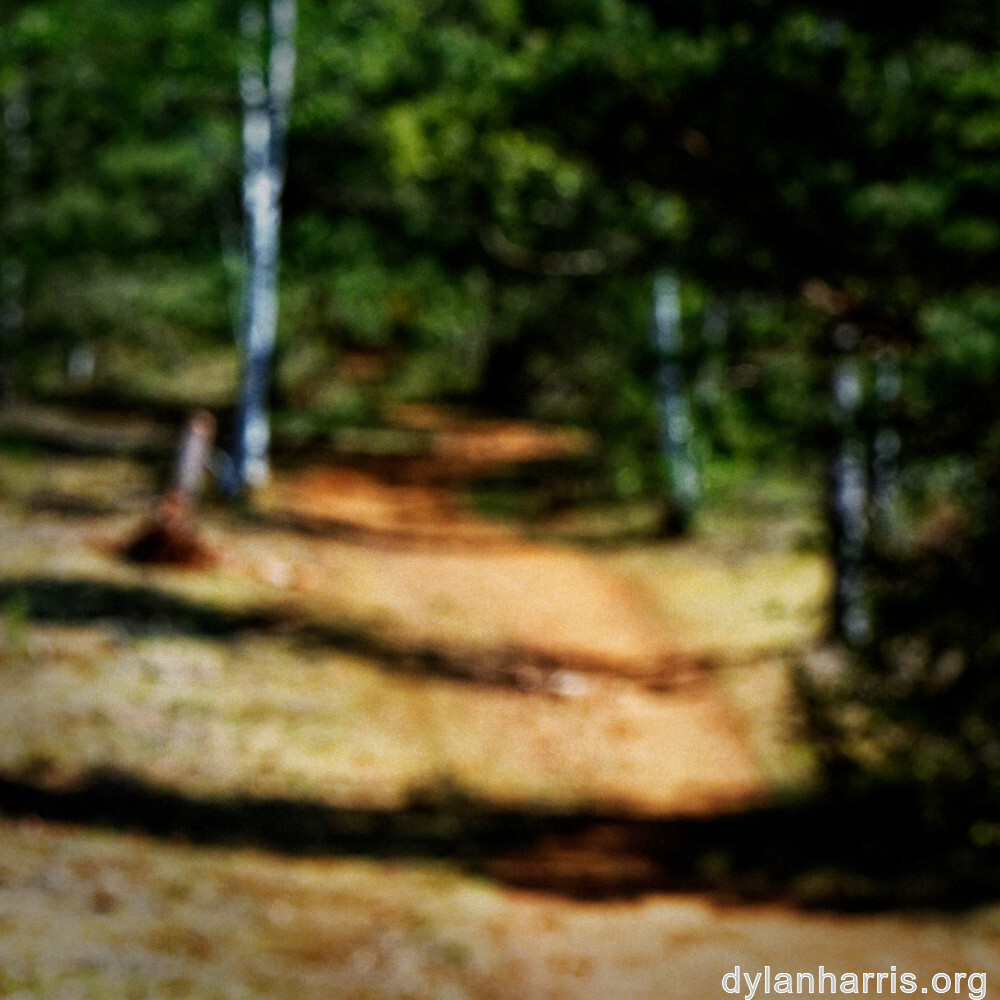 image: This is &lsquo;sch&euml;fflenger bierg (vii) 5&rsquo;.