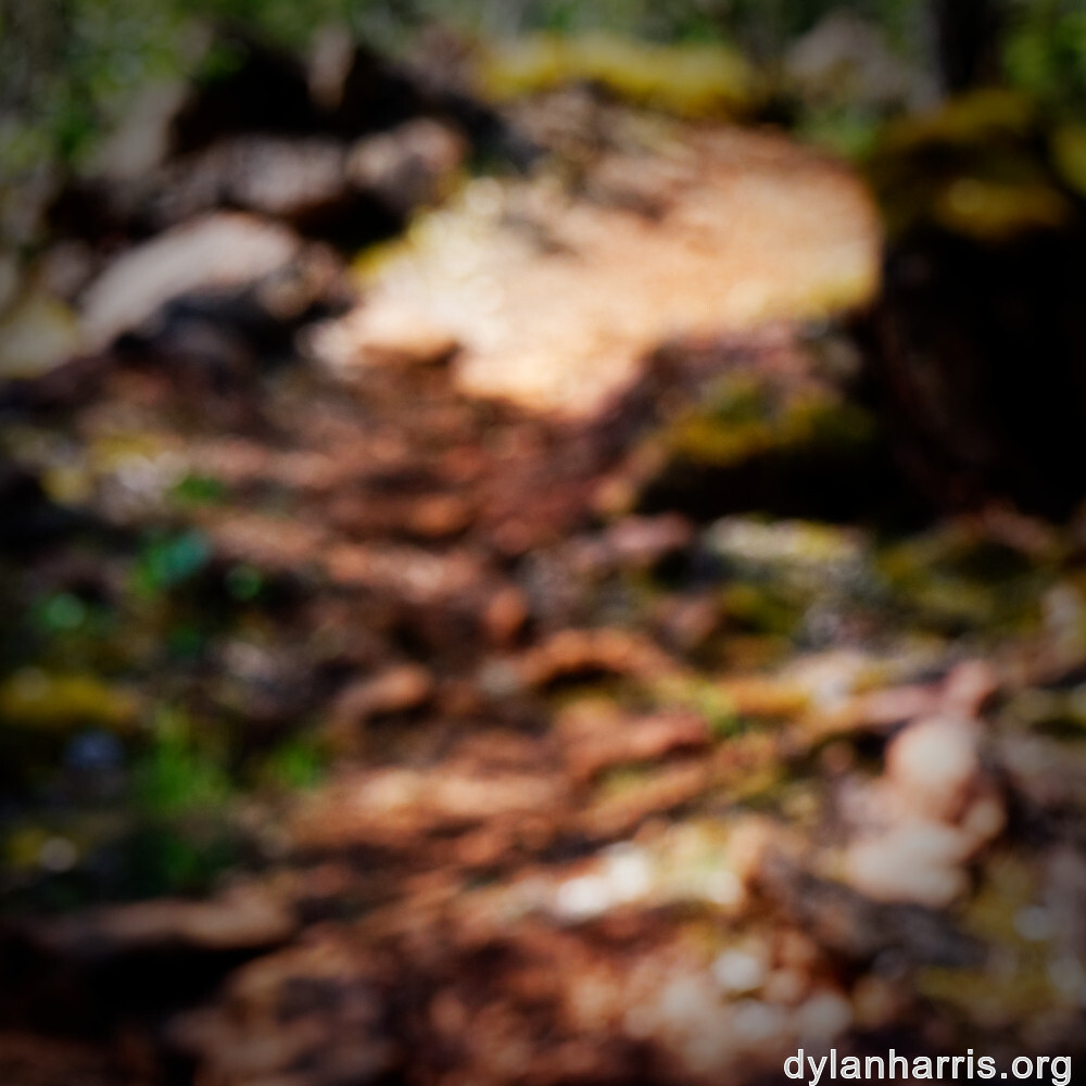 image: This is &lsquo;sch&euml;fflenger bierg (vii) 6&rsquo;.