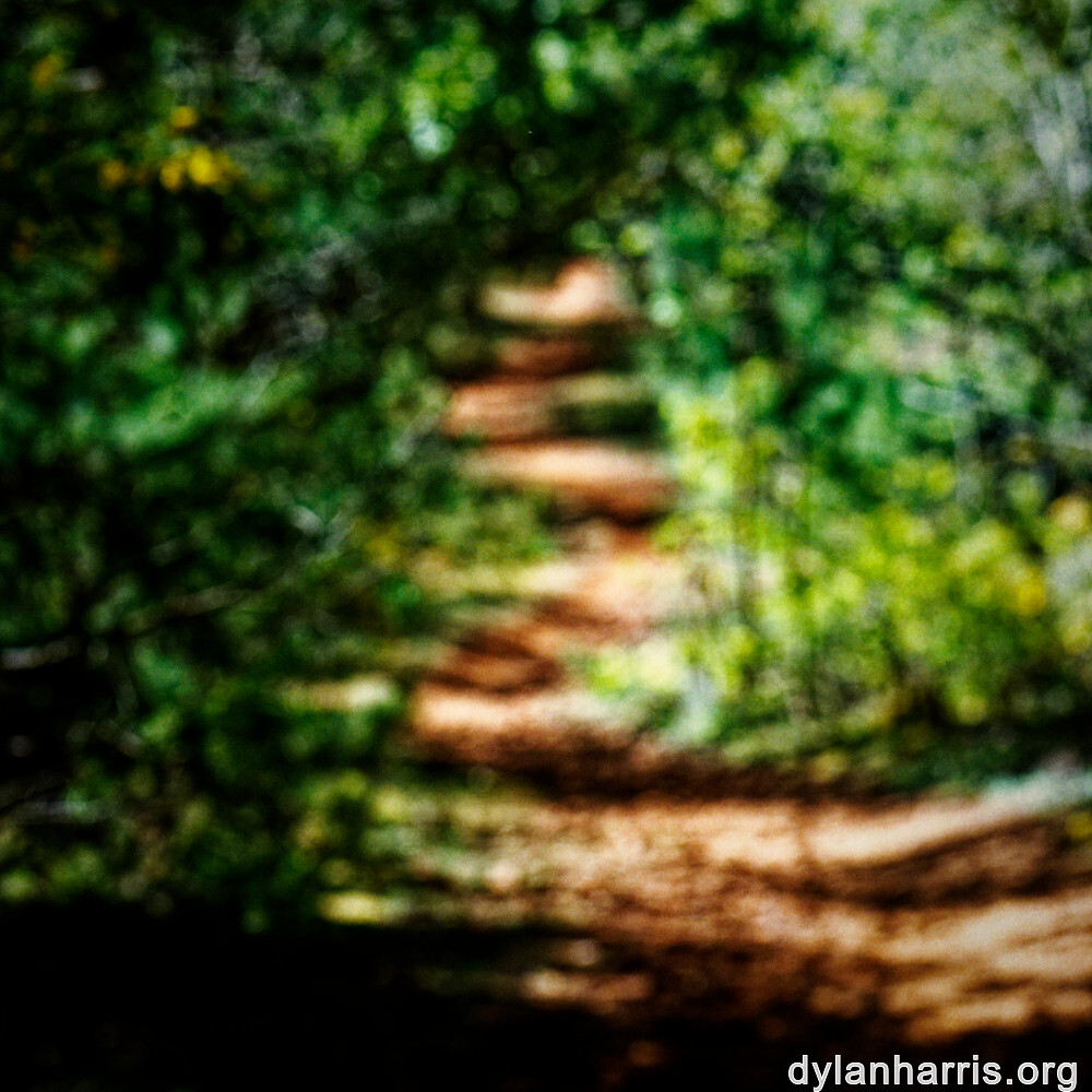 image: This is &lsquo;sch&euml;fflenger bierg (vii) 7&rsquo;.