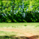 image: Image from the photoset &lsquo;sch&euml;fflenger bierg (vii)&rsquo;.