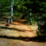 image: Image from the photoset &lsquo;sch&euml;fflenger bierg (vii)&rsquo;.