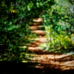 image: Image from the photoset &lsquo;sch&euml;fflenger bierg (vii)&rsquo;.