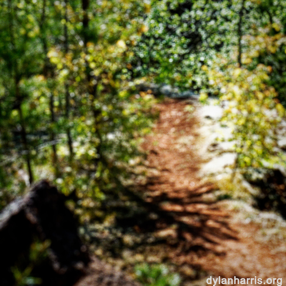 image: This is &lsquo;sch&euml;fflenger bierg (viii) 1&rsquo;.