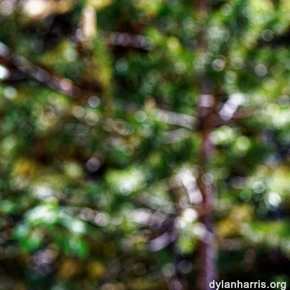 image: This is &lsquo;sch&euml;fflenger bierg (viii) 2&rsquo;.