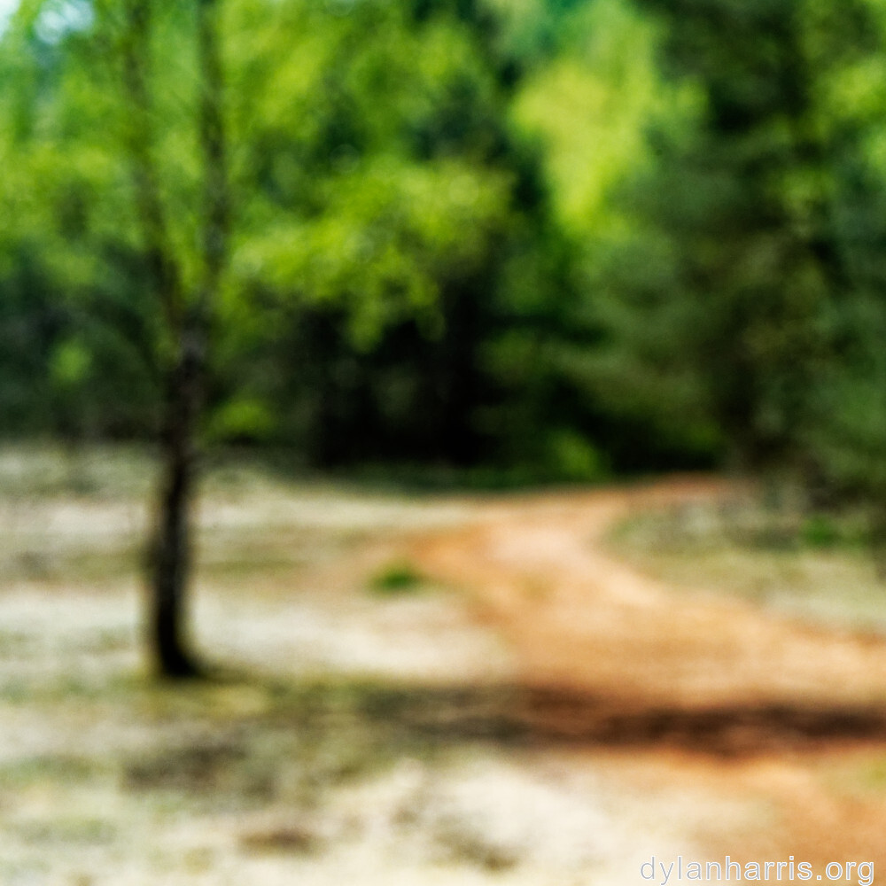 image: This is &lsquo;sch&euml;fflenger bierg (viii) 3&rsquo;.